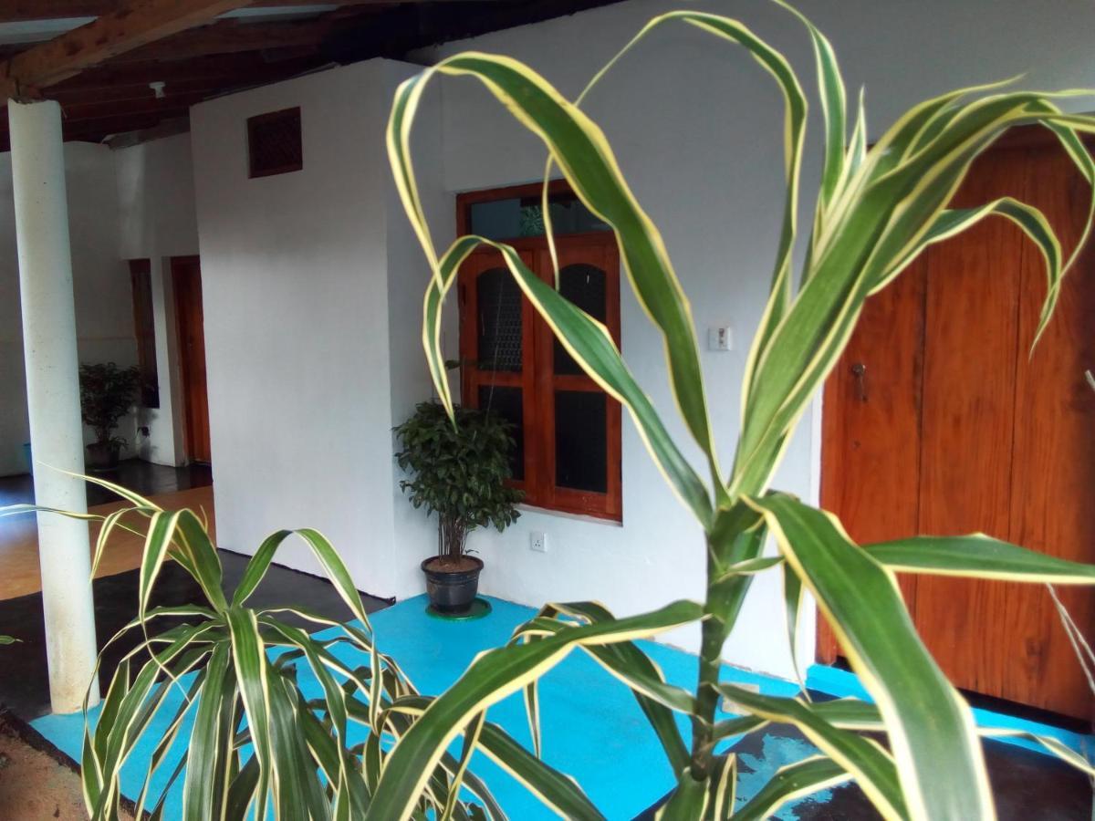 Arugambay Village Arugam Bay Zewnętrze zdjęcie